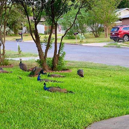 サンアントニオ The Peacock Houseヴィラ エクステリア 写真